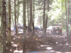 fallsaug.1.gif - 9010 Bytes