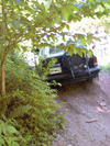 jandd3.1.gif - 13493 Bytes