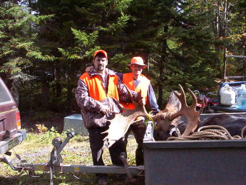 moosepic.jpg - 68037 Bytes