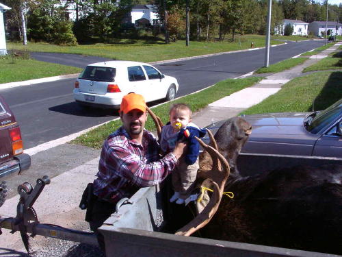 moosepic2.jpg - 56757 Bytes