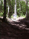 natwalk.1.gif - 12885 Bytes