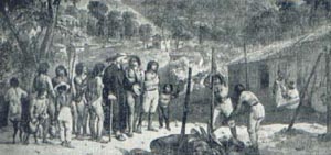 226.jpg (18132 bytes)