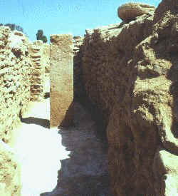 Figure xx) One of the standing stones (Snape/Thomas)