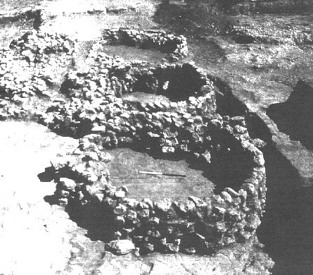 Figure xvi) Libyan huts? (Snape/Thomas)