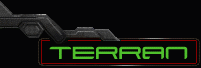 terran strategy