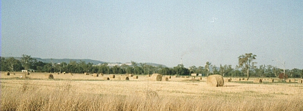 Cute round bales of hay on the outskirts of Biloela