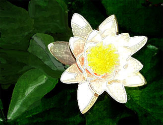 flower