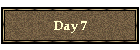 Day 7