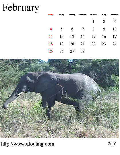 Please right click on this image and select print.