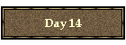 Day 14