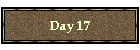 Day 17