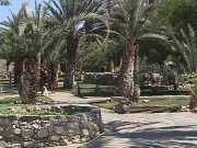 Pic. 2 German fort/Luxury camp