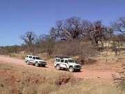 Pic. 1 Baobabs on the road to 