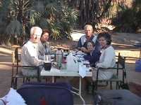 Pic.1 Breakfast under the palms