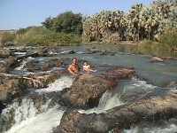 Pic. 2 More swimming?