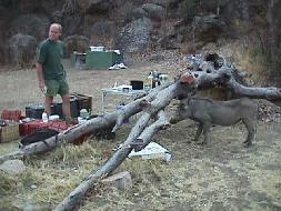 Ok, so which one is cooking?