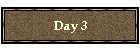 Day 3
