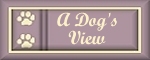 From a Dog's Point of View