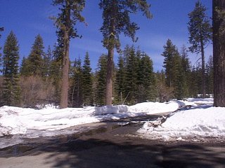 Lassen Park