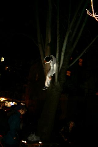 tonya in tree 1
