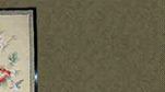 Click to Enter