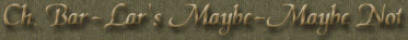 Ch Bar-lar's Maybe-Maybe Not