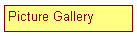 My Photo Gallery on Tripod