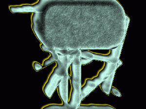 Move mouse around this image and elsewhere to see other sites -- some of them do not work any more, it is a crap shoot: they crash and burn or cancel you arbitrarily