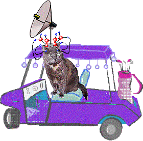 Ossifur Bitsy