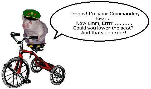 Commander Bean