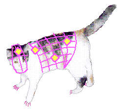 Chief Ossifur Freya