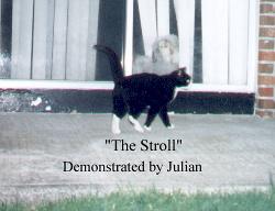 The Stroll