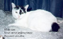 Missy of the Sharp Claws