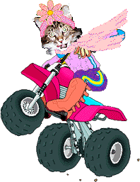 Cyclecat Rushy