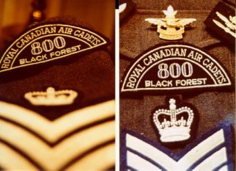 crests_1.jpg (20986 bytes)