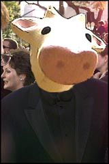 Squished Cow