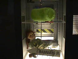 Chinga Doll