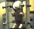 Alien Baby