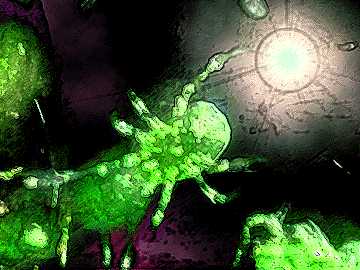 Darkness Falls Mites