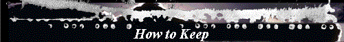  How to Keep 