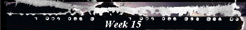  Week 15 