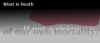 Vision.jpg (22673 bytes)