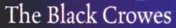 Black Crowes Song Page
