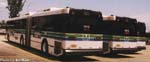 MDTA #5018