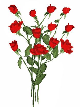 Roses