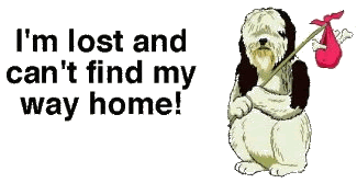 Missing Pet Poster