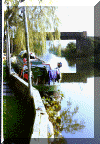 wpe74377.gif (73056 bytes)
