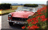 wpe20550.gif (62075 bytes)