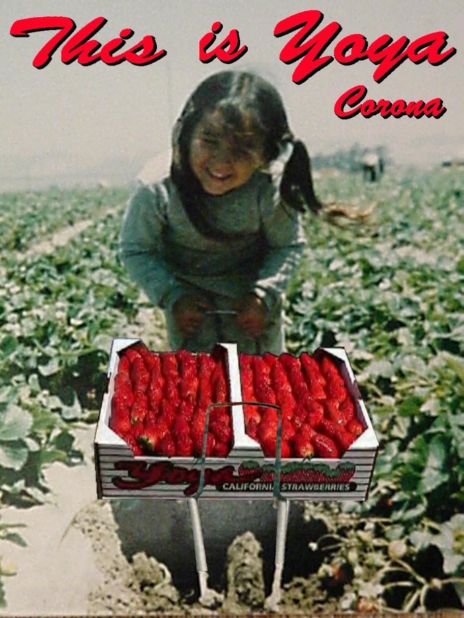 Strawberries