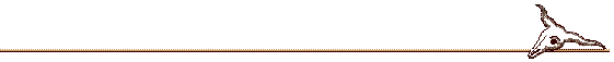 cow skull line